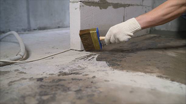 SJ Waterproofing Pros Waterproofing coverage map for Berryville, VA and surrounding area